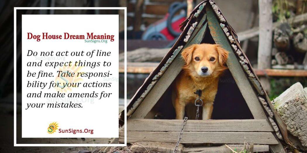 Dog House In Your Dream Meaning, Interpretation nd Symbolism