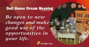 Doll House Dream Meaning