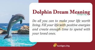 Dolphin Dream Meaning