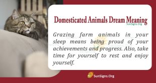 Domesticated Animals Dream Meaning