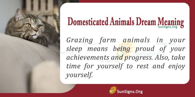 Domesticated Animals Dream Meaning