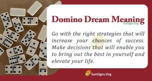 Domino Dream Meaning