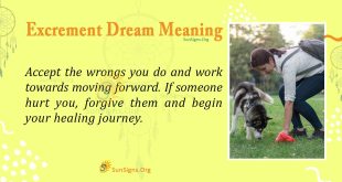 Excrement Dream Meaning