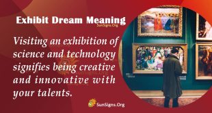 Exhibit Dream Meaning