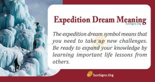Expedition Dream Meaning