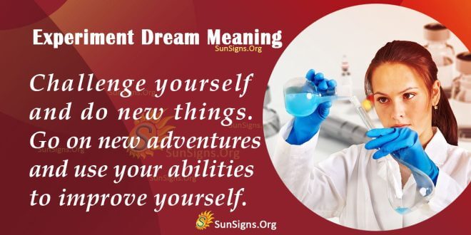 Experiment Dream Meaning