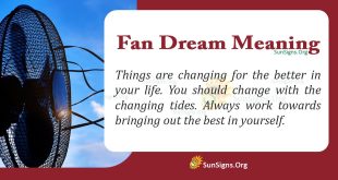 Fan Dream Meaning