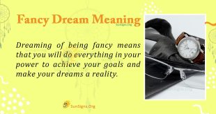 Fancy Dream Meaning