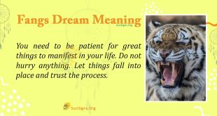 Fangs Dream Meaning