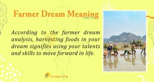 Farmer Dream Meaning