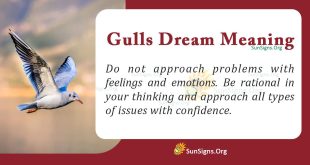 Gulls Dream Meaning