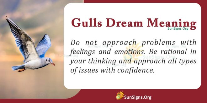 Gulls Dream Meaning