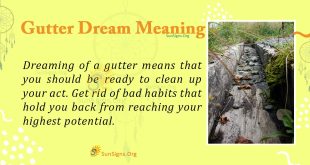 Gutter Dream Meaning