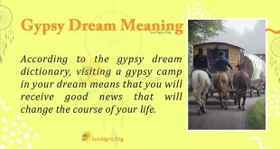 Gypsy Dream Meaning