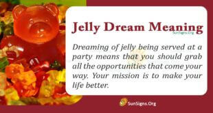 Jelly Dream Meaning