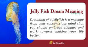 Jelly Fish Dream Meaning