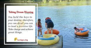 Tubing Dream Meaning
