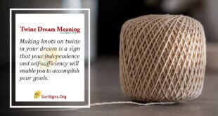 Twine Dream Meaning