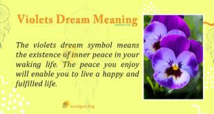 Violets Dream Meaning