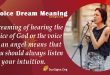 Voice Dream Meaning