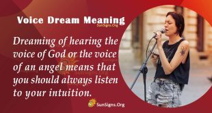Voice Dream Meaning