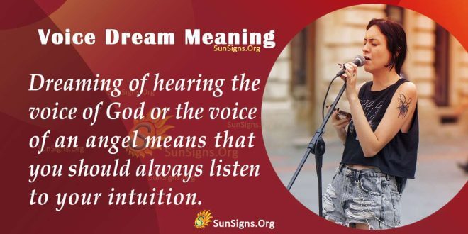 Voice Dream Meaning