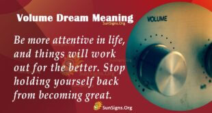 Volume Dream Meaning