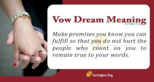 Vow Dream Meaning