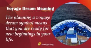 Voyage Dream Meaning