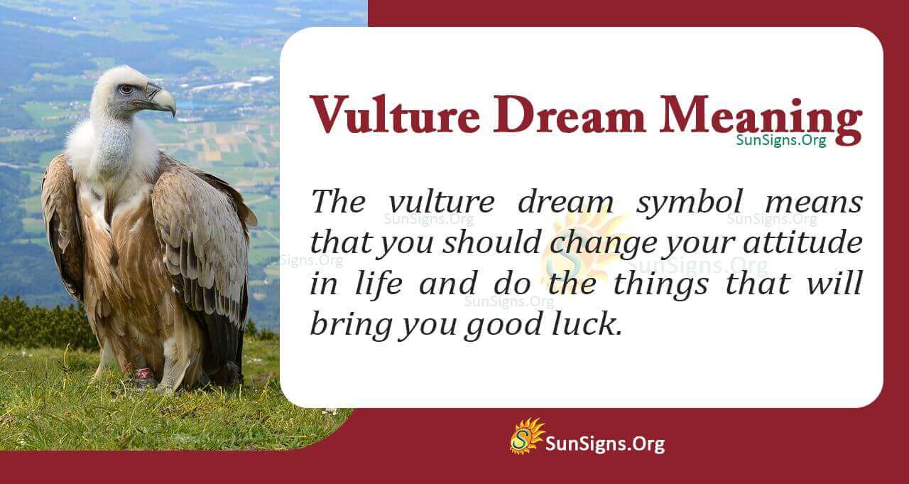 Seeing a Vulture in Your Dream Meaning, Interpretation and Symbolism
