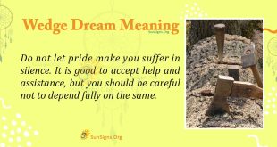 Wedge Dream Meaning