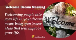Welcome Dream Meaning