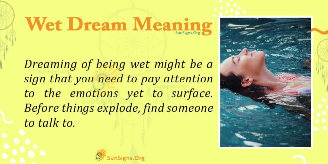 Wet Dream Meaning