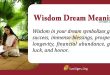Wisdom Dream Meaning