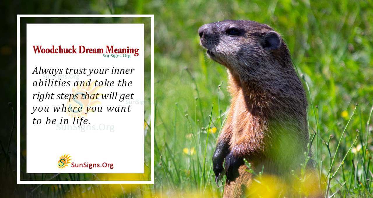 Woodchuck In Your Dream Meaning, Interpretation And Symbolism