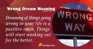 Wrong Dream Meaning