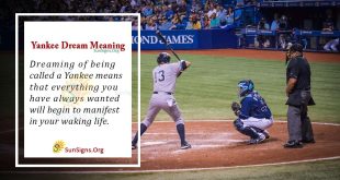 Yankee Dream Meaning