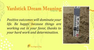 Yardstick Dream Meaning