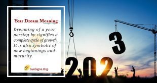 Year Dream Meaning