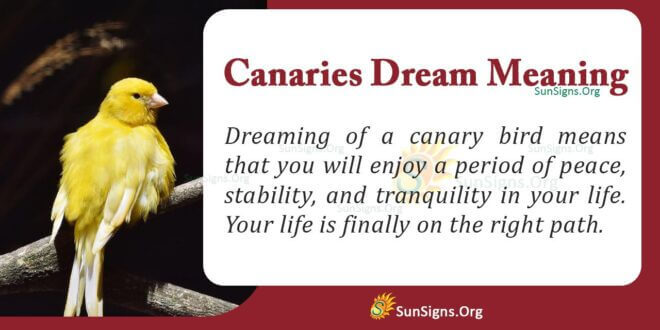 Canary Dream Meaning