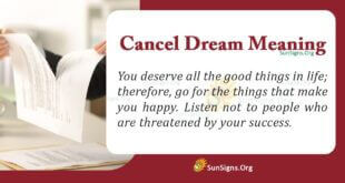 Cancel Dream Meaning