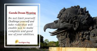 Garuda Dream Meaning