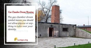 Gas Chamber Dream Meaning