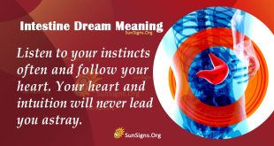 Intestine Dream Meaning