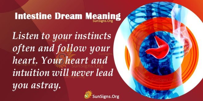 Intestine Dream Meaning