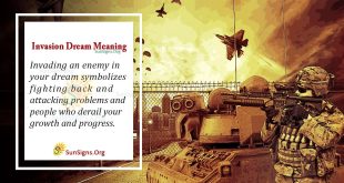 Invasion Dream Meaning