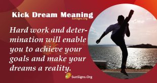 Kick Dream Meaning