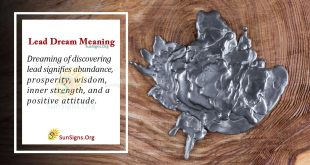lead dream meaning