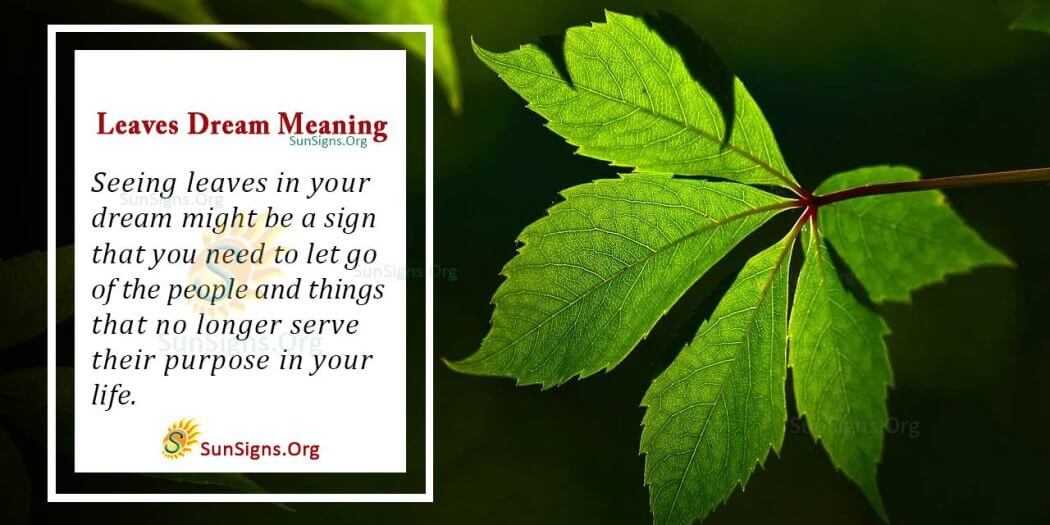 Leaves in your Dream Meaning, Interpretation and Symbolism