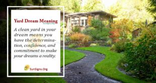 yard dream meaning